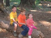 8.26-27.06 Twin Lakes & Palmateer Point 127 